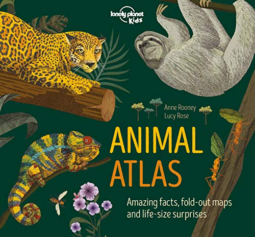 Book cover featuring illustrated jaguar, sloth, chameleon, and ant.