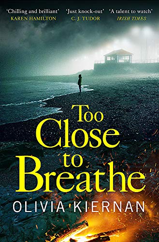 Book cover: lone figure on a beach, stormy sky, and fire.
