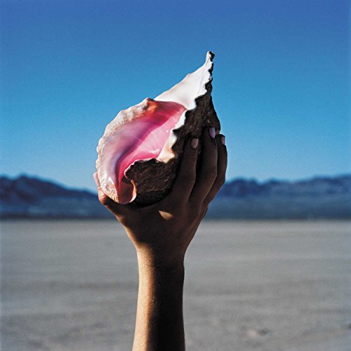 Hand holding a large, pink and white seashell against a blue sky.