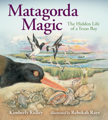 Book cover depicting shorebirds foraging on a Texas bay shoreline.