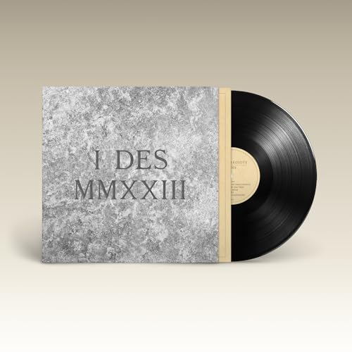 Vinyl record with textured grey and gold cover displaying “I DES MMXIIX”.