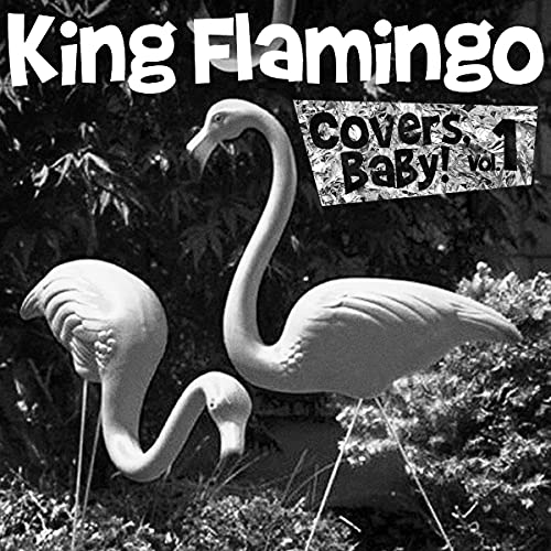 Black and white vinyl record cover with plastic flamingoes.
