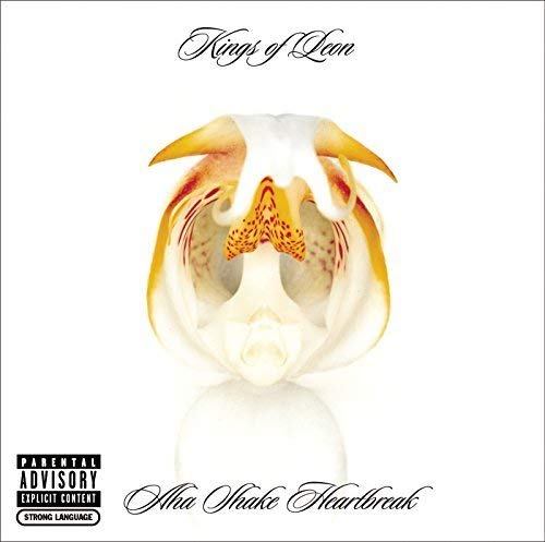 Album cover for Kings of Leon’s “Aha Shake Heartbreak” featuring a flower.