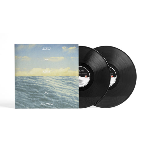 Kings of Leon vinyl record with ocean-sky album cover shown.