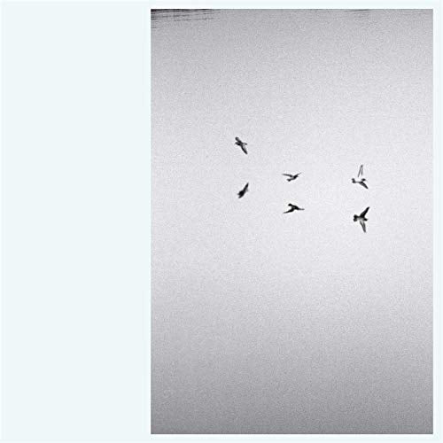 Black and white image of several birds flying against a grainy, pale sky.