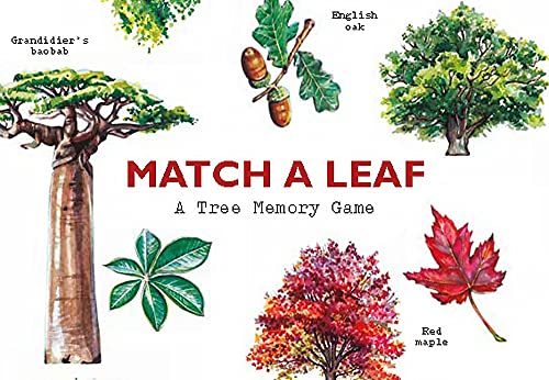 Watercolor illustrations of trees and leaves for a memory game.