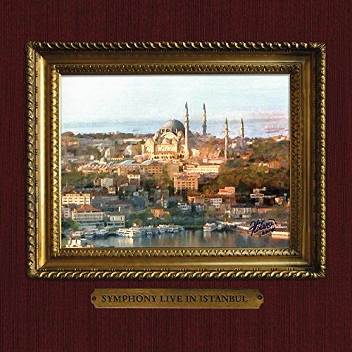 A framed painting of the Istanbul skyline on a dark red textured background.