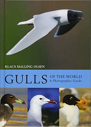 Book cover featuring photographs of various gull species in flight and portrait.