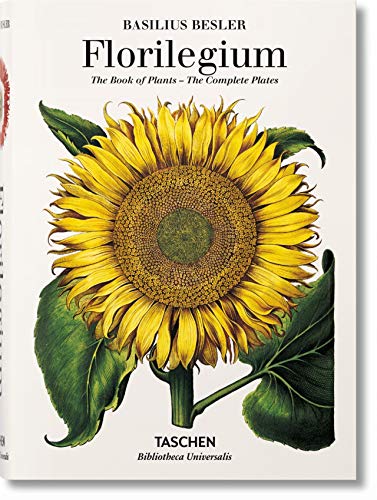 Book cover featuring a large yellow sunflower illustration against a white background.