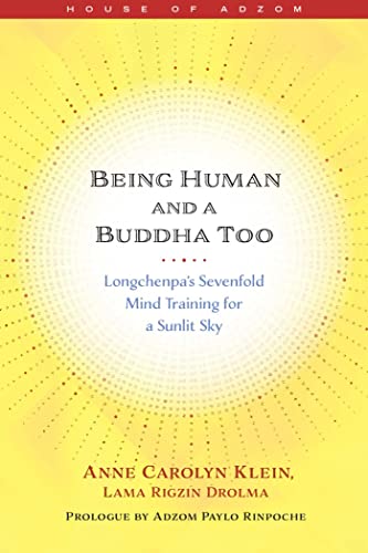 Book cover with yellow sunburst background and black text title.