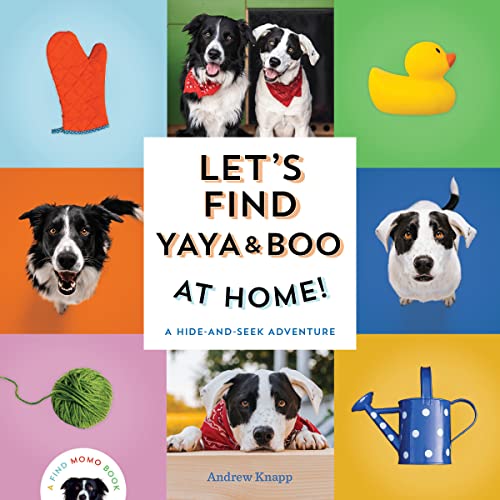 Book cover featuring two black and white dogs, Yaya and Boo, and colorful objects.