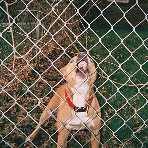 Dog with open mouth behind chain-link fence, album cover art.