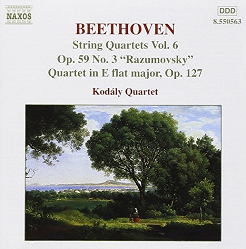 "CD cover with Beethoven's String Quartets, featuring a serene landscape painting."