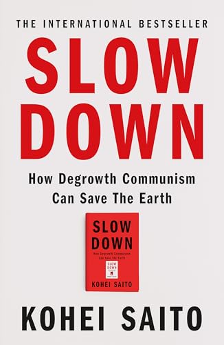 Book cover for Slow Down by Kohei Saito with a small book thumbnail below.
