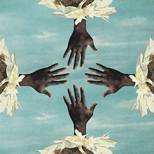 Four dark-skinned hands reaching towards each other amidst white flowers.