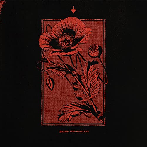 Red poppy illustration on a black background, album art for Kollaps.