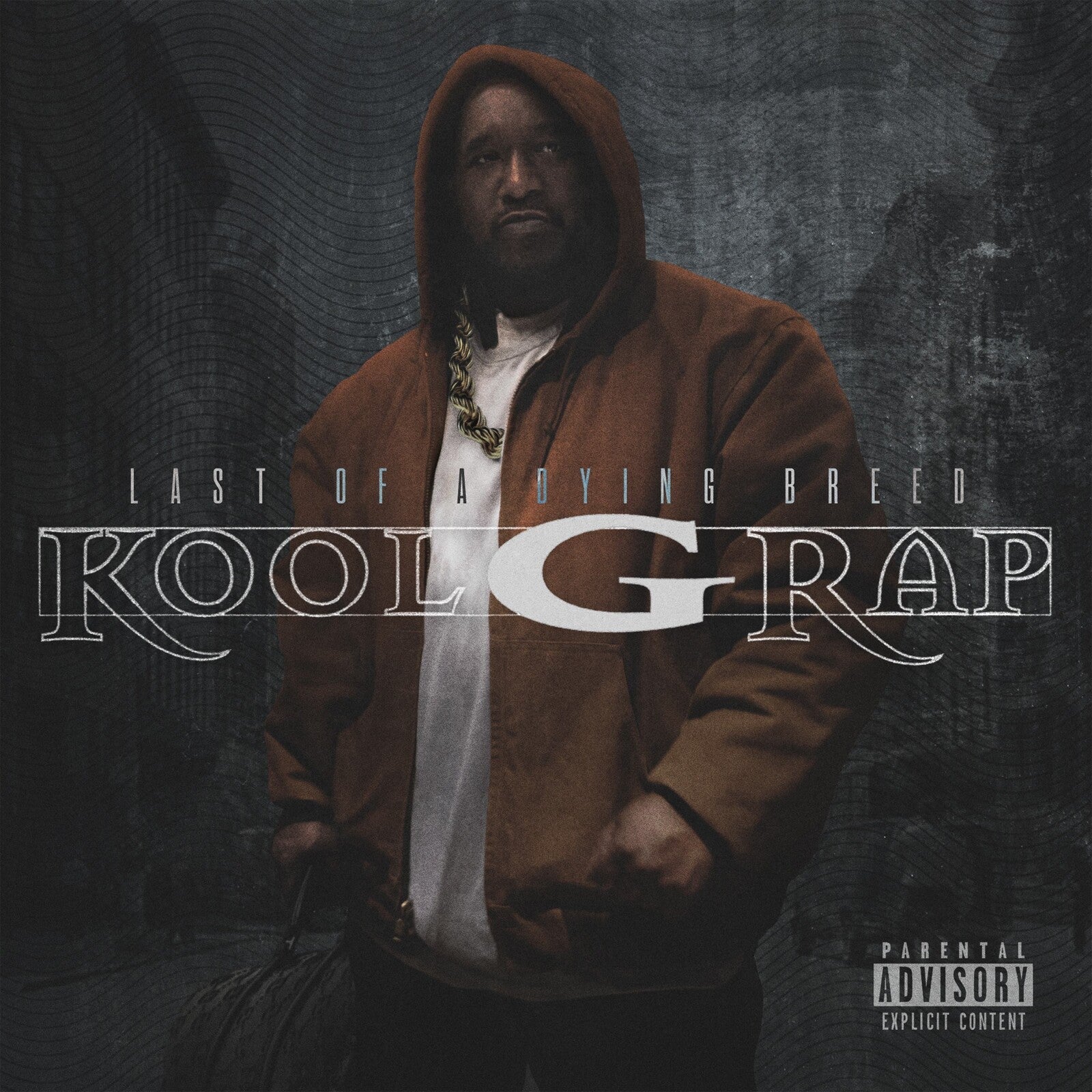 Kool G Rap wearing a brown hooded jacket against a dark, textured background.