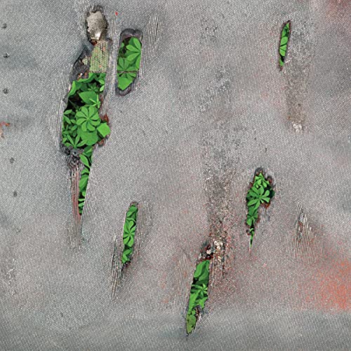 CD cover: gray textured surface with green clover shapes peeking through holes.