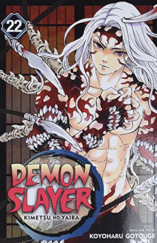 Colorful manga book cover with Tanjiro Kamado and other characters in action poses.