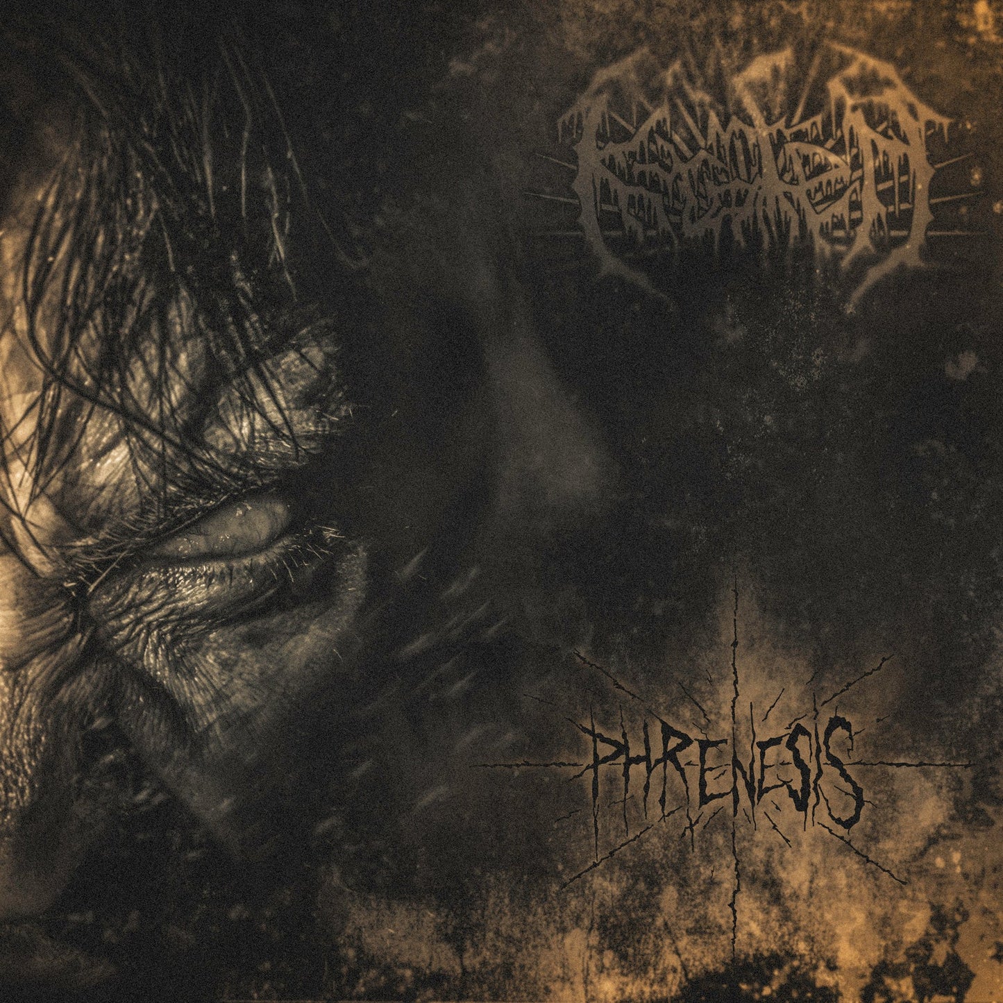 Dark album cover featuring a close-up of a distressed, closed eye.