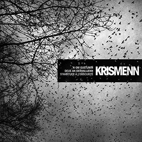 Black and white image of bare tree branches and a large flock of birds.