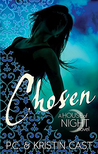 Book cover with silhouette of a person against a blue patterned and cloudy background.