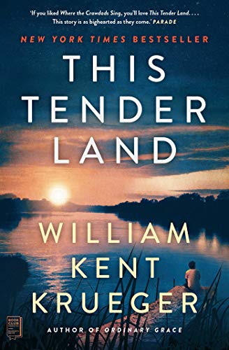 Book cover showing a person sitting by a river at sunset with title text.