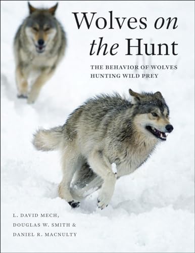 Book cover featuring two wolves running in a snowy landscape.