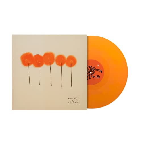 Vinyl record with orange cover featuring sketched dandelion-like flowers.