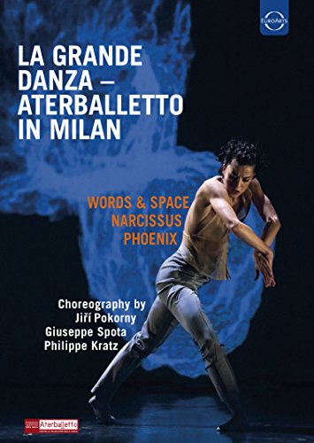 Ballet dancer in grey costume performing on a stage with blue lighting.