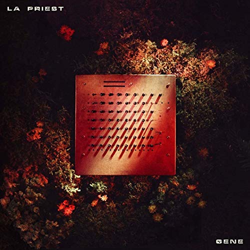 A square synthesizer panel sits centered amidst dark, shadowed foliage and small red flowers.