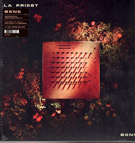 A square synthesizer sits centered against a dark, floral background on this vinyl cover.