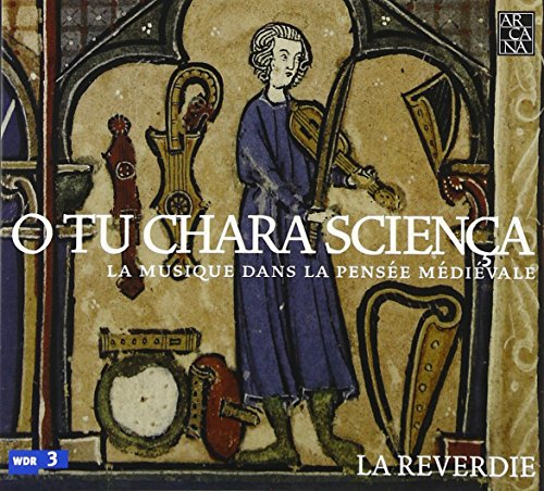 Medieval manuscript illustration of a musician with various instruments.
