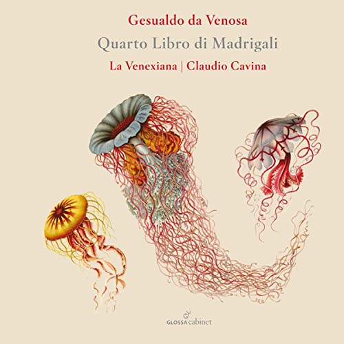 CD cover with vintage botanical illustration of jellyfish and text.