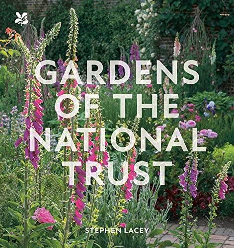 Book cover featuring tall pink foxgloves in a lush garden with white title text.