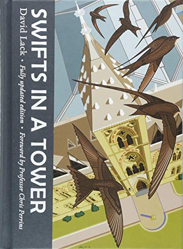 Book cover depicting swifts flying around a detailed church tower illustration.