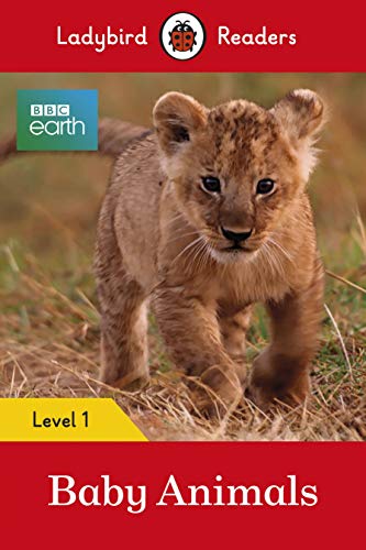 Book cover: close-up of a baby lion walking in grass.