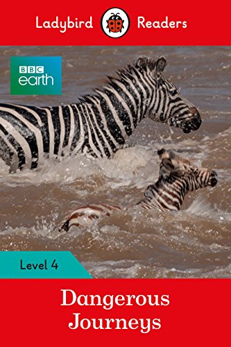 Zebra swimming through muddy water on a book cover.