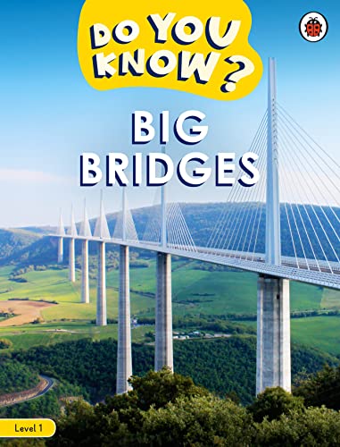 Book cover featuring a large cable-stayed bridge over green hills.