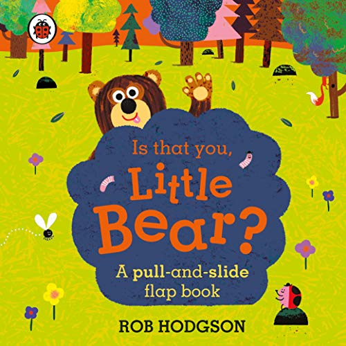 Book cover featuring a brown bear peeking from behind a blue cloud.