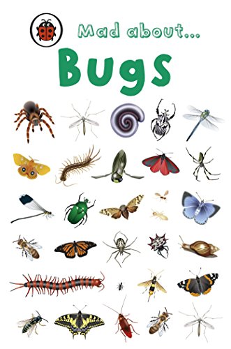 "Book cover with 'Mad about... Bugs' title and various insect illustrations on a white background."