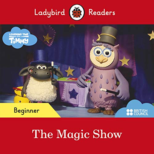 Timmy and an owl magician with wands, book cover illustration.