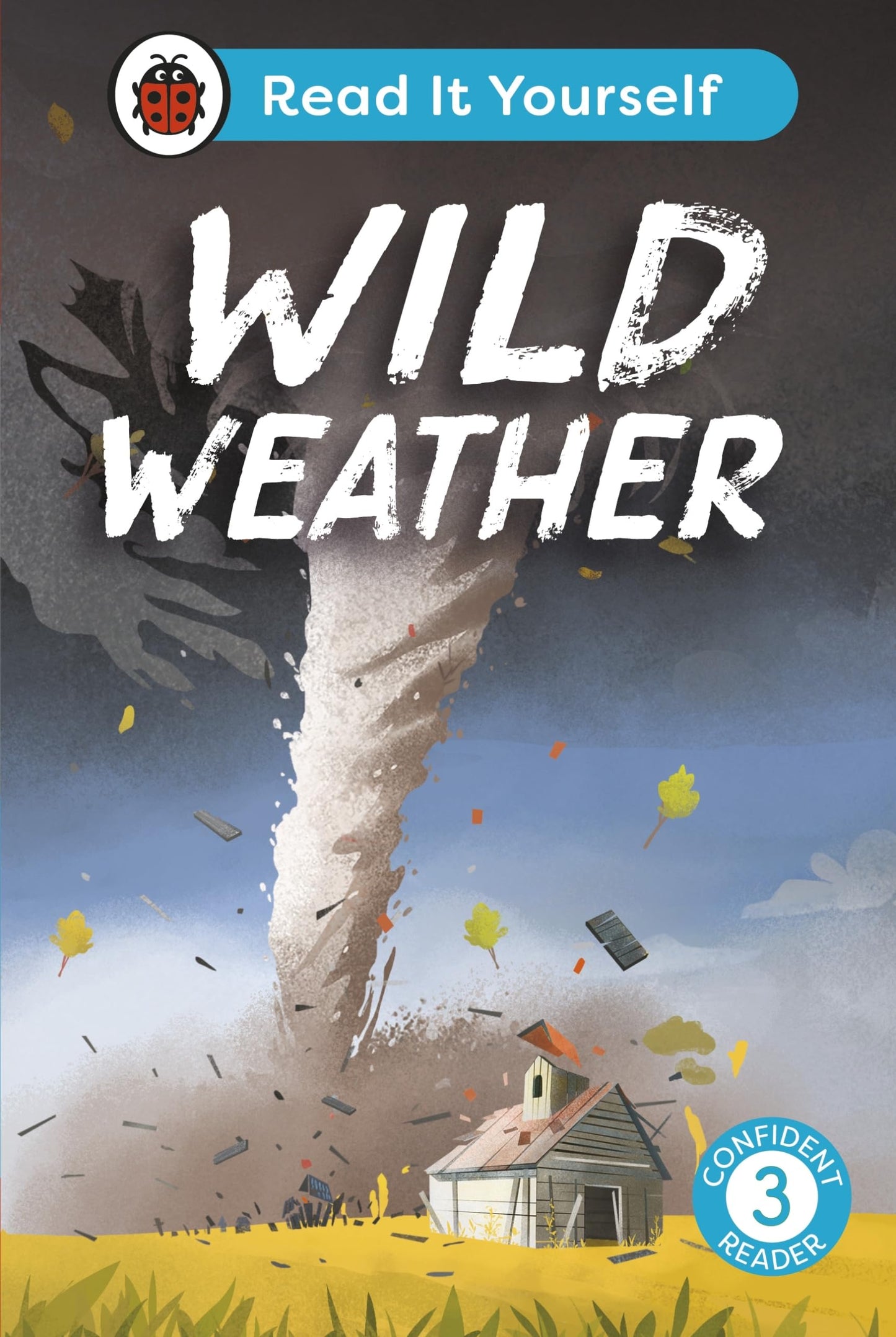 Book cover depicting a tornado approaching a small house with falling debris.