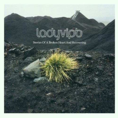 CD cover with desert landscape, yellow grass, and white text: "ladyvipb".