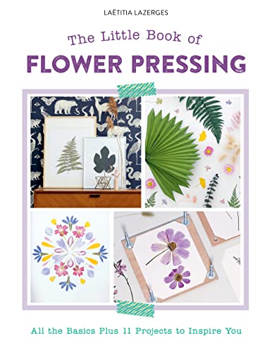 Book cover featuring pressed flowers, botanical illustrations, and crafting projects.