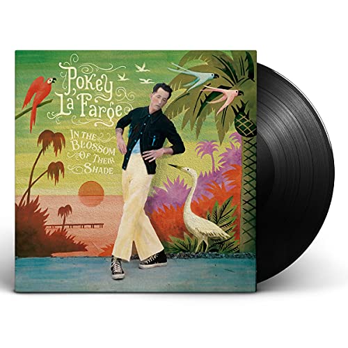 Vinyl record with album cover featuring a man, birds, and tropical plants.