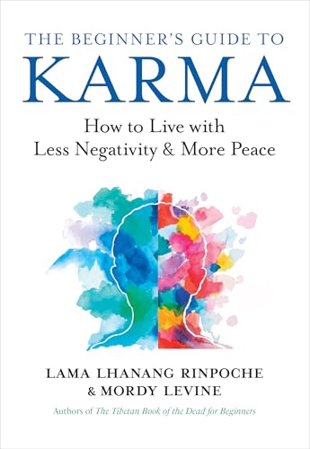 Book cover with title "The Beginner’s Guide to Karma" and a colorful head silhouette.