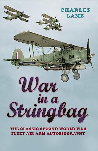Book cover showing three vintage biplanes flying against a pale blue sky.