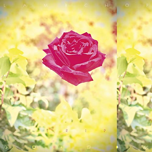 A red rose centered on a blurred yellow floral background with text overlay.