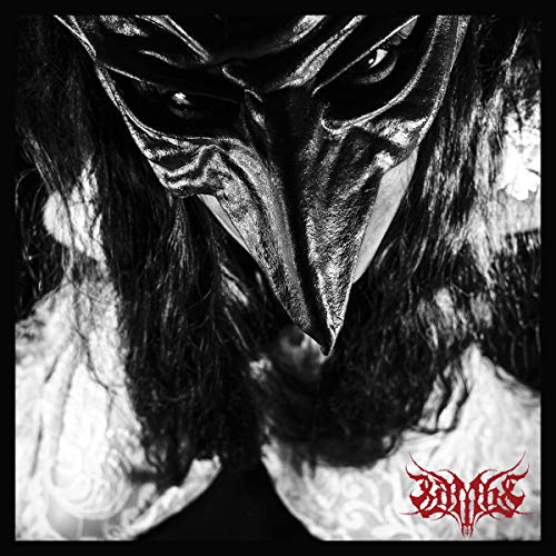 Black and white close-up of a person in a bird-like mask with long hair.